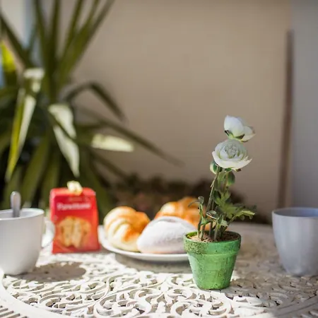 公寓 Le California - 滨海自由城